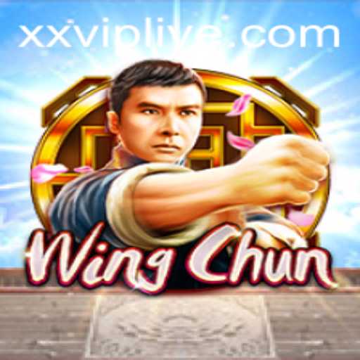 Discovering WingChun: The Innovative Game Experience with a Twist